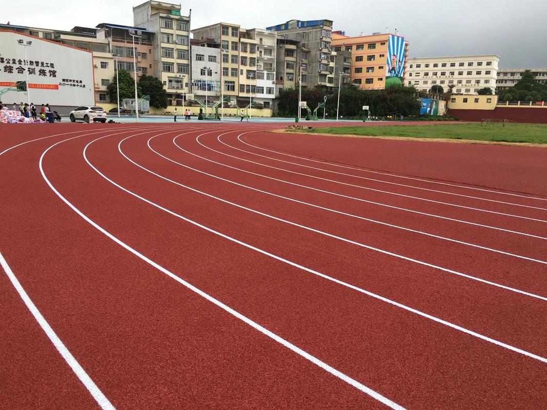 湛江市学校塑胶跑道塑胶跑道材料 - 排名